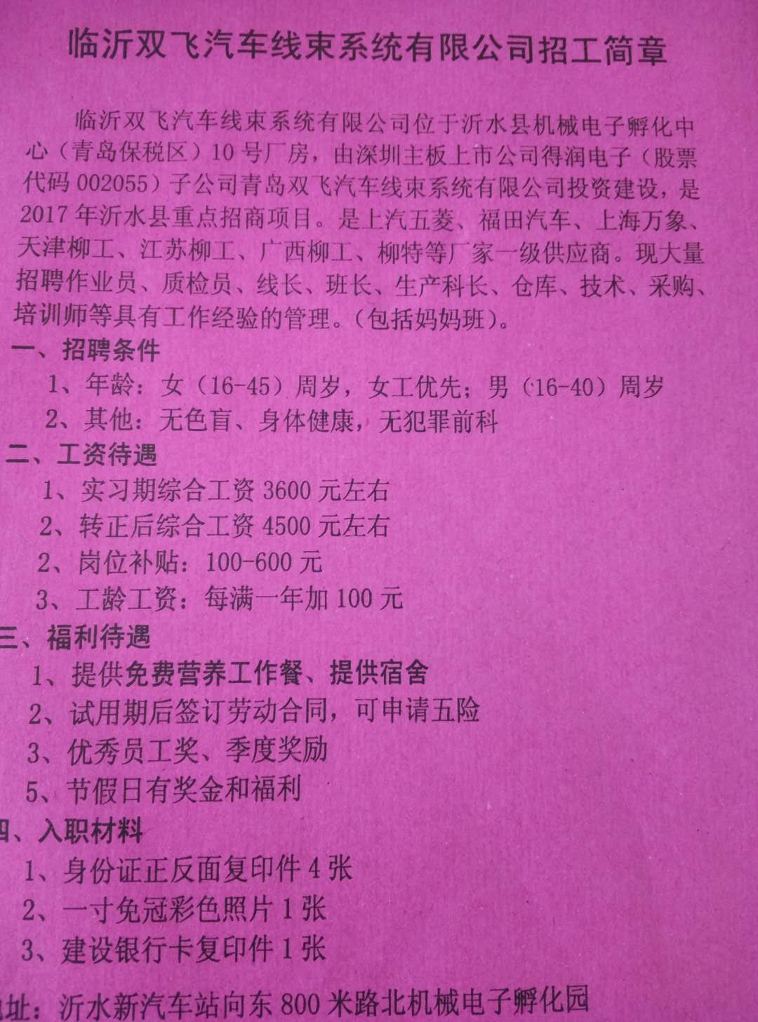 萊蕪金點子招聘啟航，探索自然美景，尋找內心寧靜之旅