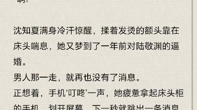 夏知晚官逸景最新章節(jié),夏知晚官逸景最新章節(jié)，探尋故事的魅力轉(zhuǎn)折