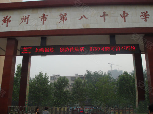 中原區(qū)九龍城最新動(dòng)態(tài)深度解析，最新進(jìn)展與觀點(diǎn)闡述