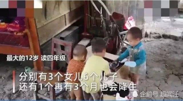 廣西最新預(yù)情，自然美景探索之旅，喚醒內(nèi)心平靜之旅