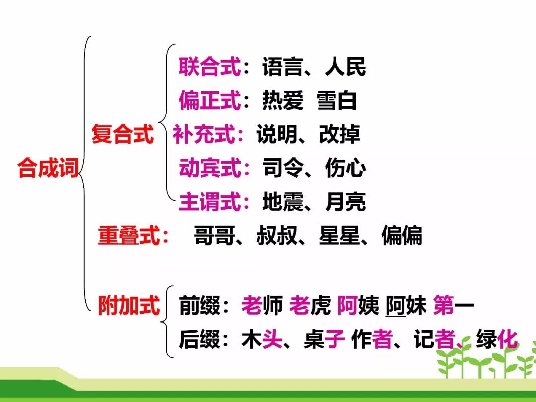 最新合成詞，語言發(fā)展的微觀視角探索