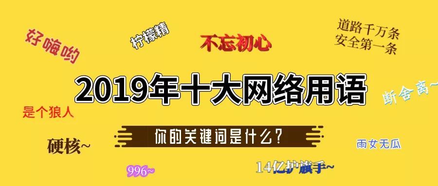 網絡最新句子風潮，演變與影響力的深度解析