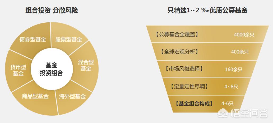深度解析，今年養(yǎng)雞產業(yè)趨勢與前景展望