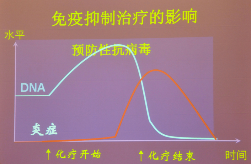 肝炎新進(jìn)展揭秘，小巷深處的秘密小店探索