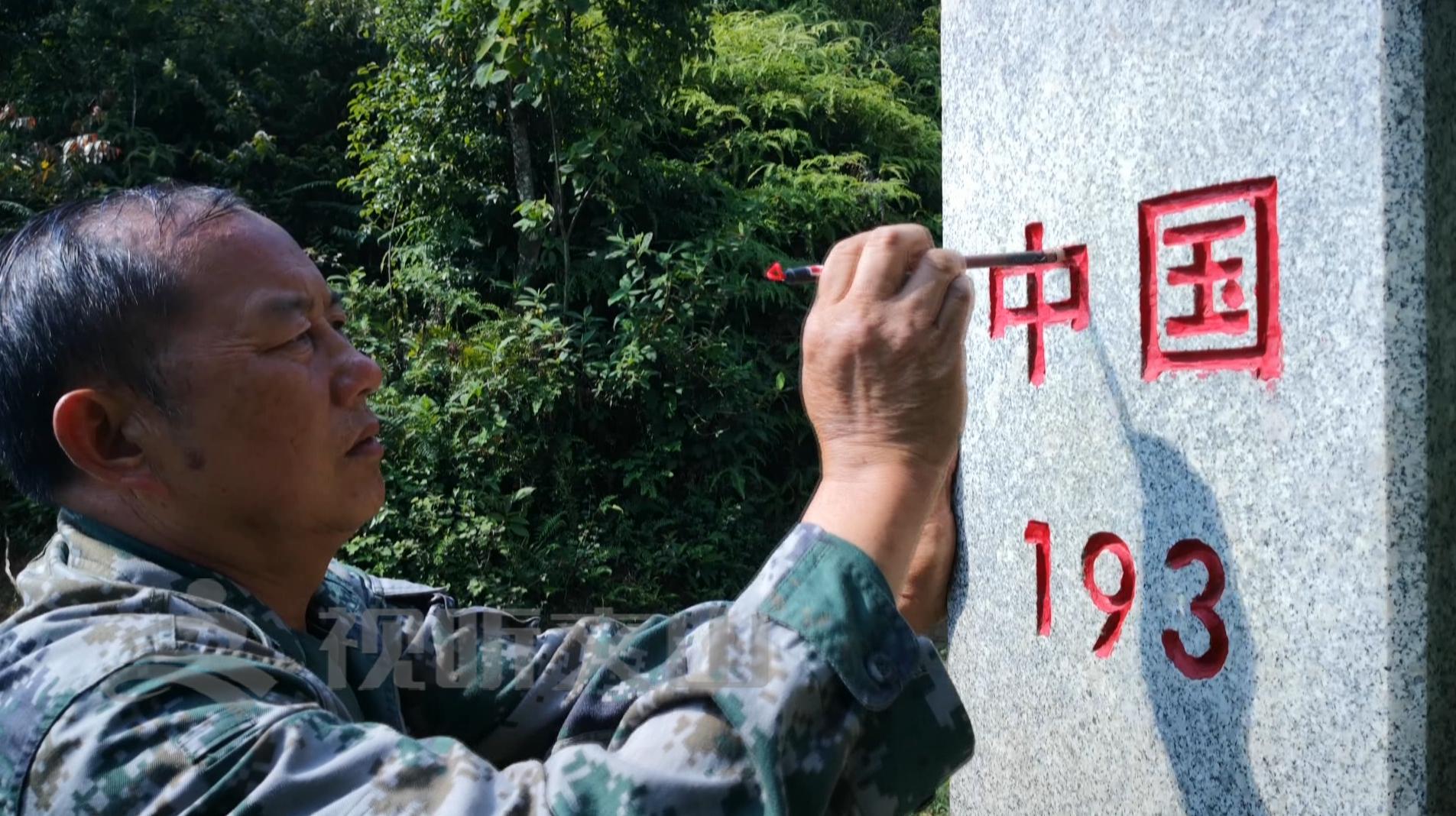 文山黃牛打架比賽，傳統(tǒng)與爭(zhēng)議的碰撞