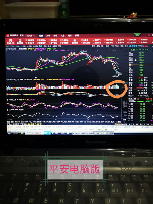 股票電腦版，開啟溫馨的股市之旅