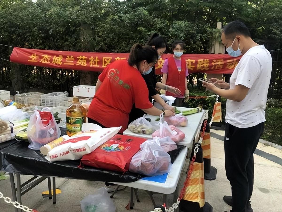 保利華潤紫云價格深度解析，探尋背后的故事與地位影響