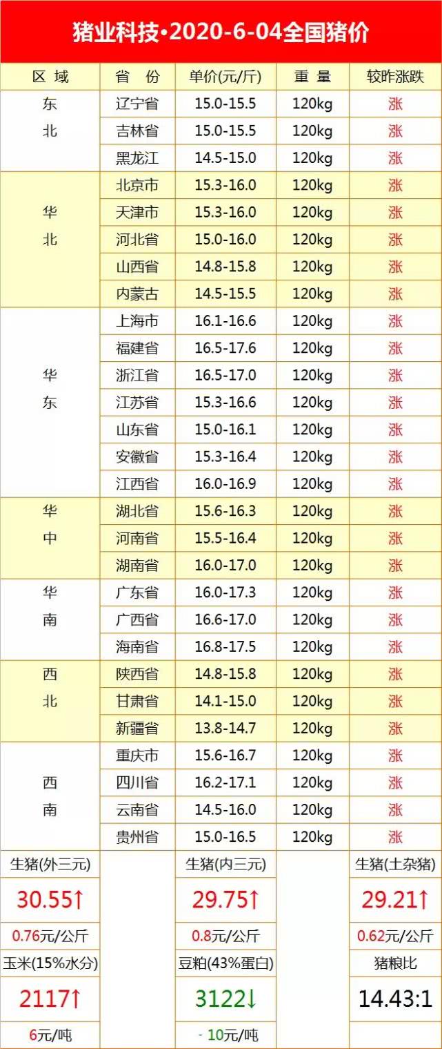 全國最新生豬價格今日豬價走勢，詳細步驟指南