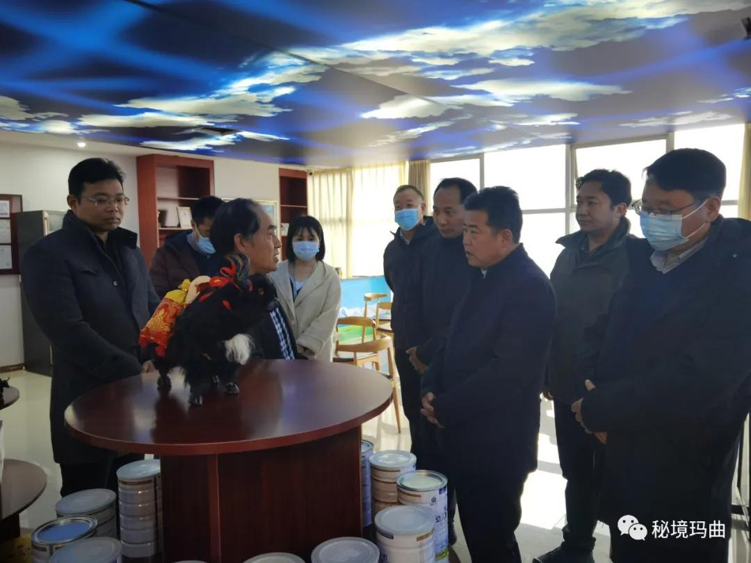高原之寶上市，學(xué)習(xí)、蛻變與自信的輝煌之旅
