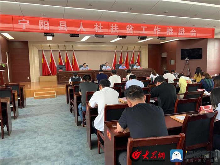 寧陽網(wǎng)最新資訊，城市中的溫情日常
