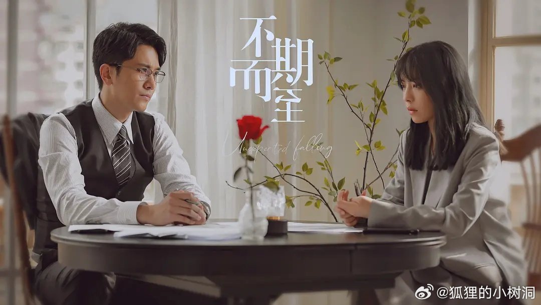 不期而至電視劇，從入門到進(jìn)階的觀看指南