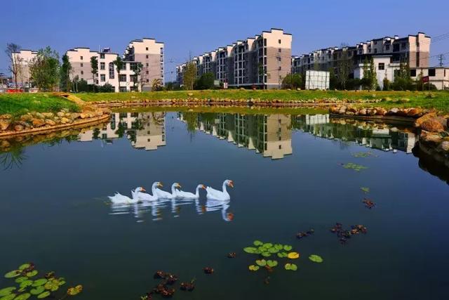 萍鄉(xiāng)安源湖，最新動態(tài)揭示湖畔變革與自我超越之旅