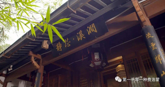 高密西湖茶樓最新資訊，一壺茶，品味溫情時光