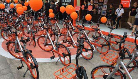 洛陽摩拜單車最新職位招聘啟事