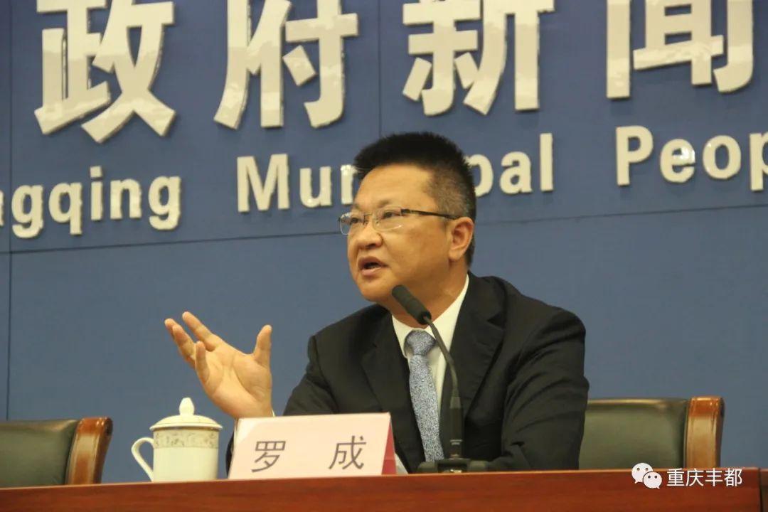 豐都新聞快訊，日常溫情與陪伴的瞬間