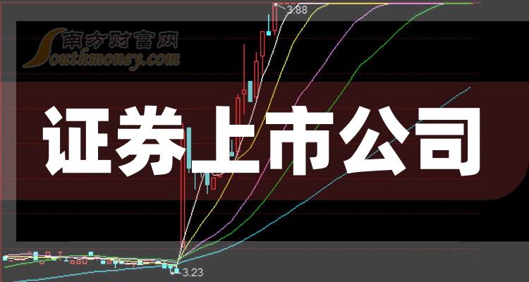 科技巨頭引領下的全新視界，股票上市公司概覽
