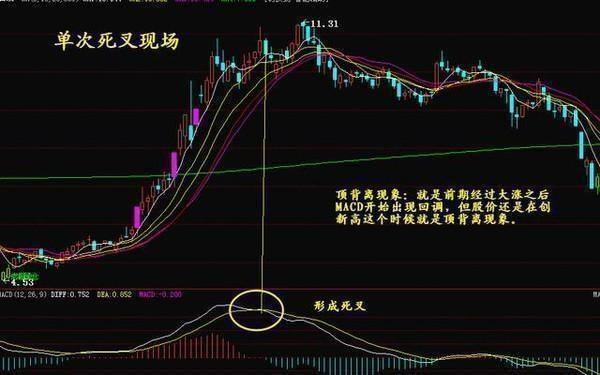 科技前沿與股票新紀(jì)元，最新高科技產(chǎn)品體驗(yàn)介紹與股票解析