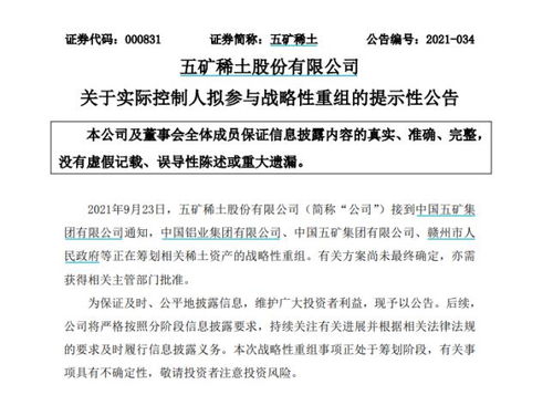 南方稀土股票，小巷中的隱秘寶藏，探索投資魅力的未知之旅