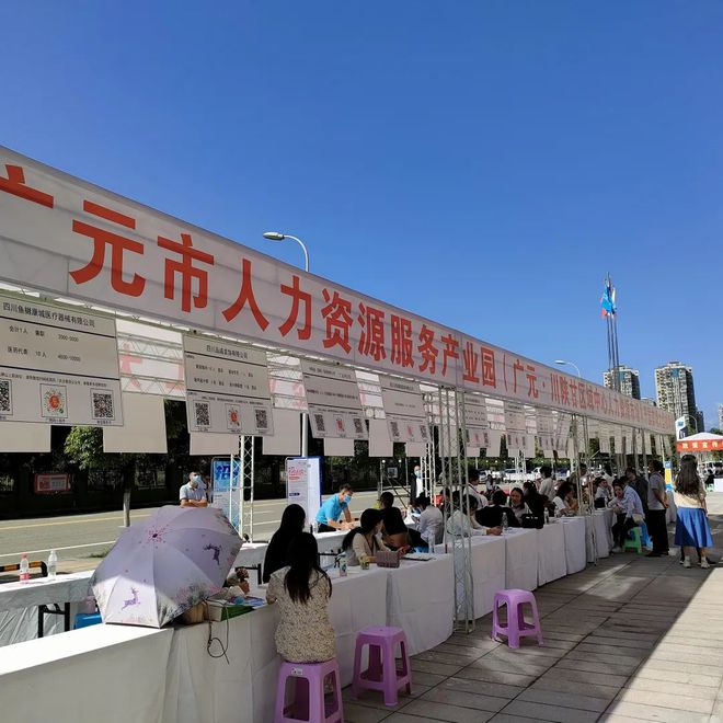 廣元最新招聘資訊詳解，觀點(diǎn)闡述與解析