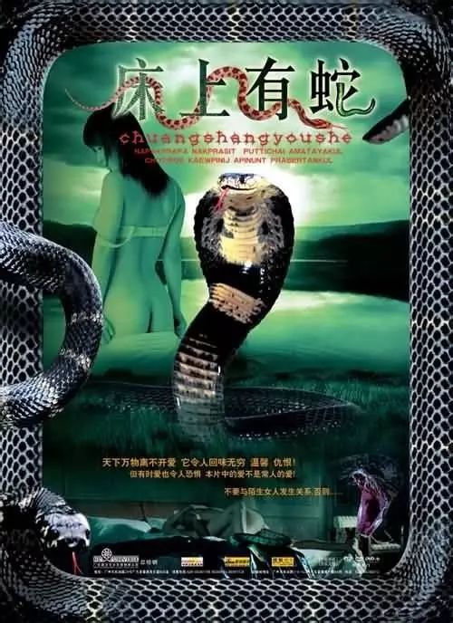 最新蛇片，蛻變的旅程，召喚自信與成就感的冒險之旅