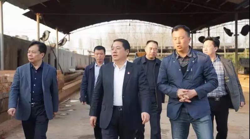 商丘王仲田最新動態(tài)，探索自然美景的旅行，尋求內心平和之旅