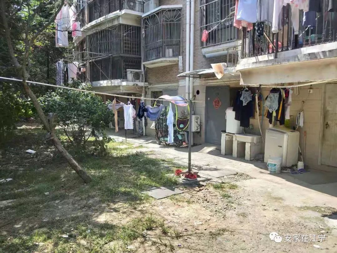 最新大雜亂時(shí)代，混沌與秩序的重建之路