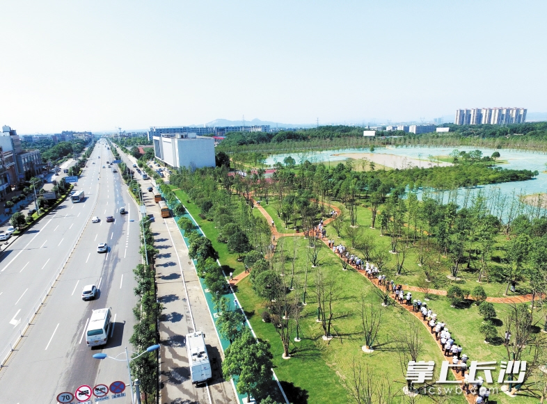 長沙黃橋大道崛起，夢想啟航之路最新動(dòng)態(tài)