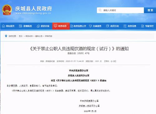 酒駕處罰2024最新標準詳解，步驟指南與更新概覽
