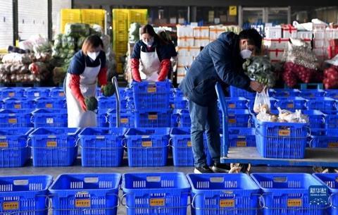 運動場館燈具 第146頁