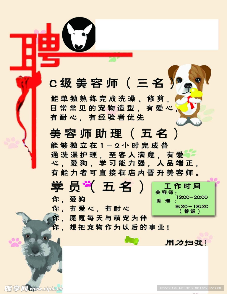 寵物店招聘最新動態(tài)，共探自然之美，尋求內(nèi)心寧靜