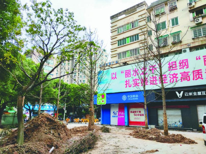 最新吊車網(wǎng)，自然美景之旅與內(nèi)心平靜的探尋