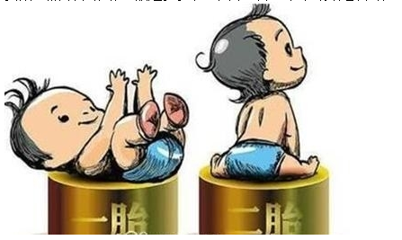 最新雙胞胎補(bǔ)助政策，攜手同行，助力孕育夢(mèng)想之路
