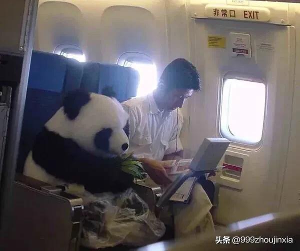 追逐變化之翼，學(xué)習(xí)鑄就自信與成就——虛幻最新探討