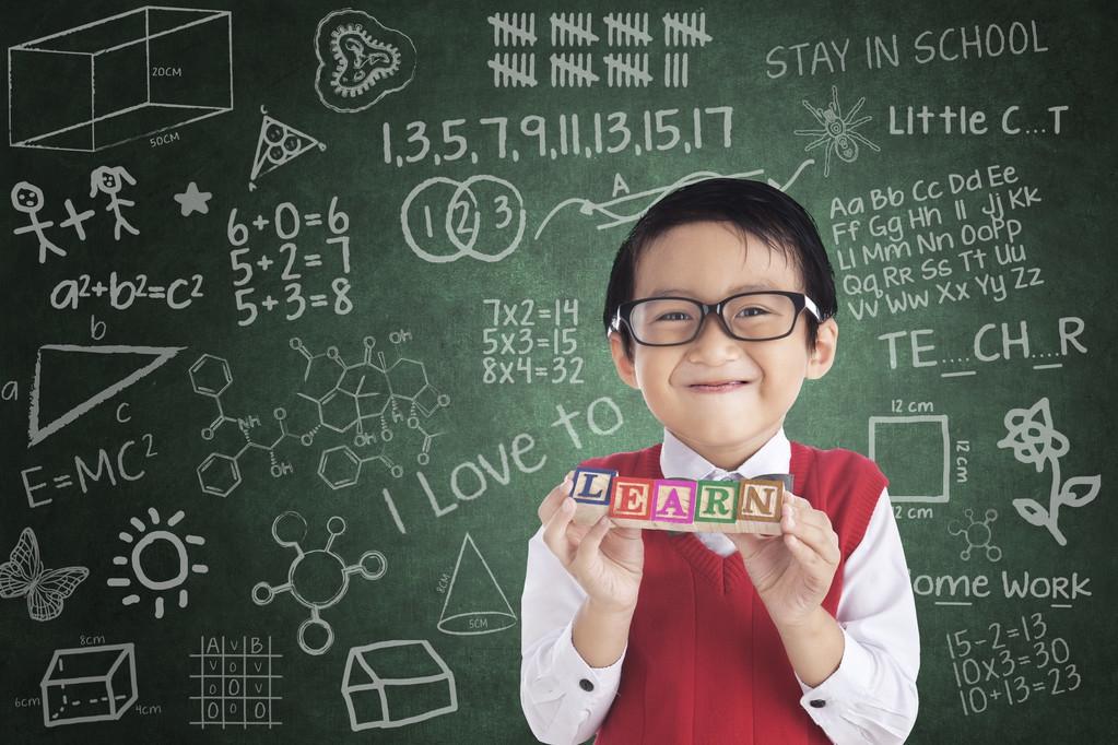 小學(xué)數(shù)學(xué)最新課程標(biāo)準(zhǔn)，深度解析與觀點(diǎn)闡述