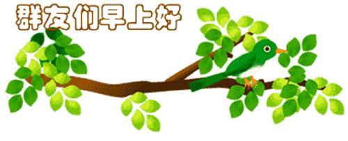 最新清晨祝福短信，晨曦中的溫暖問候，傳遞美好祝愿與關(guān)懷