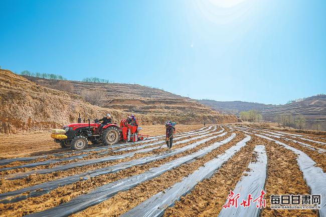 秦安最新新聞，城市溫情日常溫馨小事報(bào)道