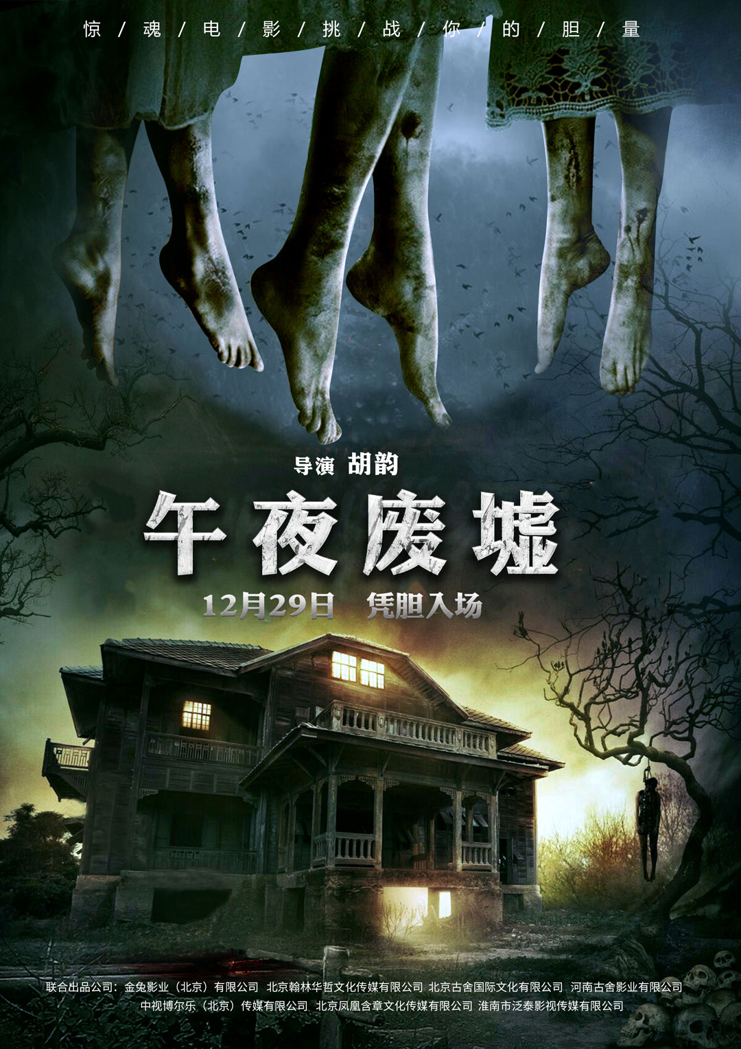 午夜熱門(mén)電影探索，魅力時(shí)刻的探險(xiǎn)之旅