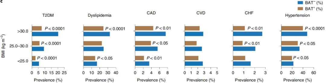 腦疾病最新研究，重塑大腦信心與成就感之路