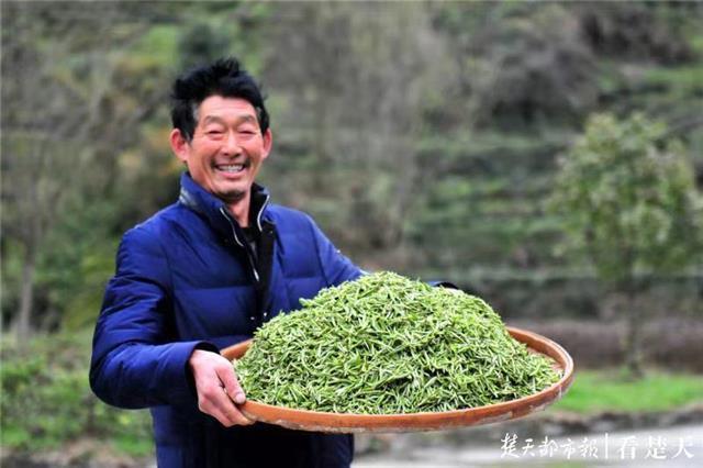 最新夷陵新聞，探索自然美景的旅程，尋覓內心平和之地