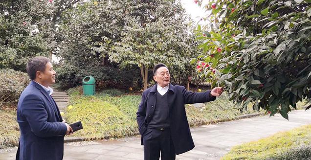 最新花木求購，開啟一場尋綠之旅的溫馨旅程