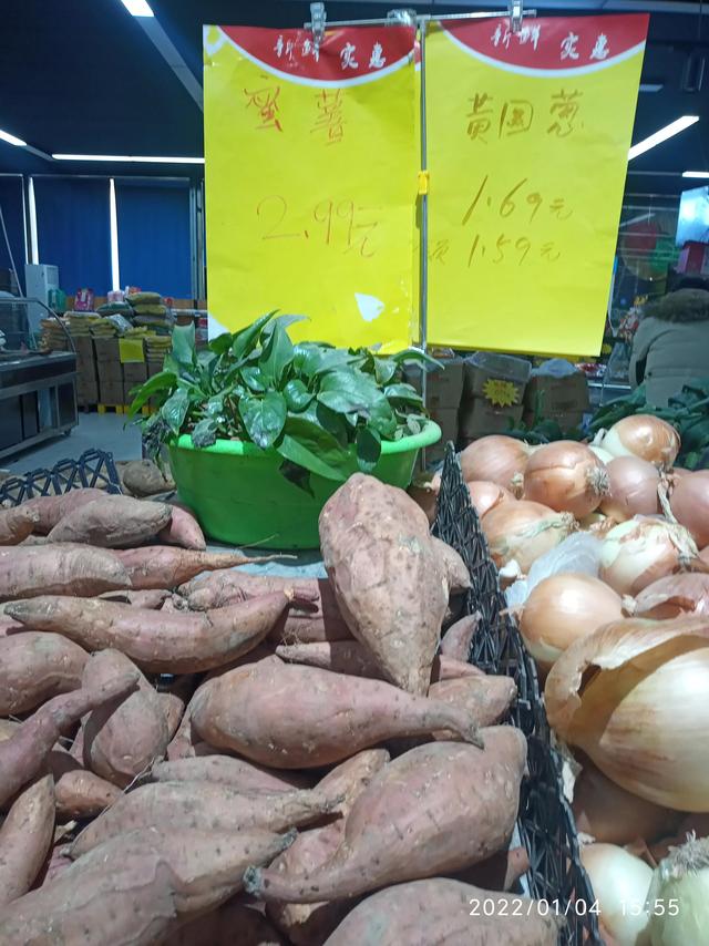 最新地瓜價(jià)格解析，查詢(xún)指南與任務(wù)攻略