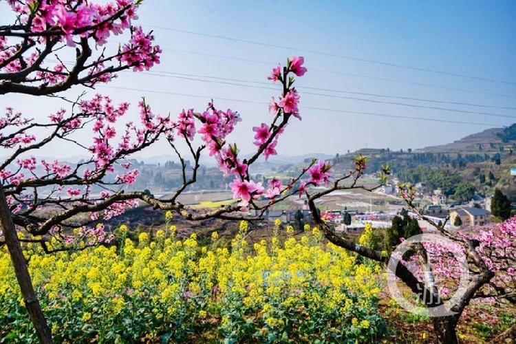 合川最新科技新聞，高科技產(chǎn)品引領(lǐng)未來生活潮流