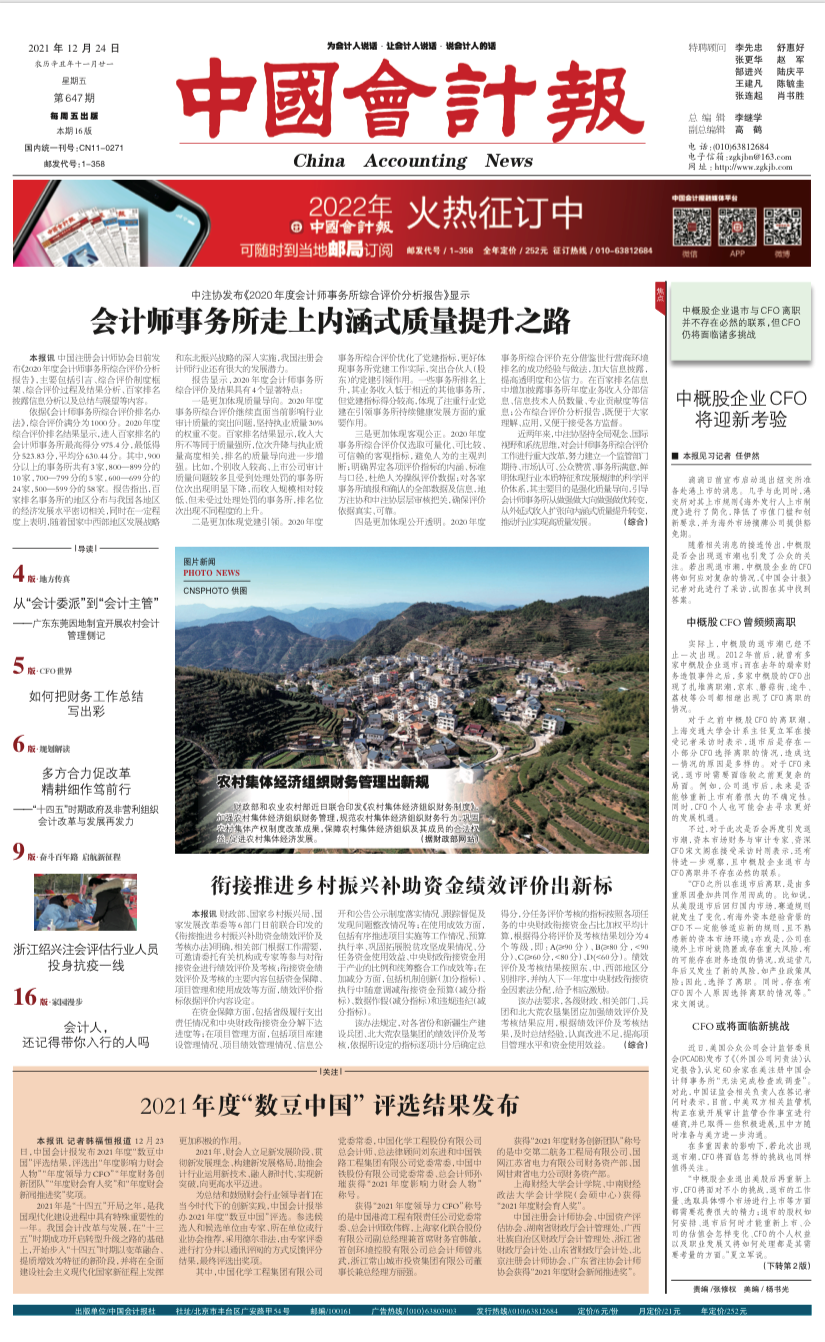 小巷深處的會計魅力，最新資訊與特色小店的探索