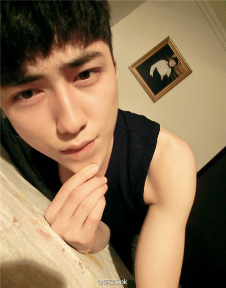 陳淀最新圖片，自然美景的探索之旅，尋覓內(nèi)心平和與喜悅的源泉