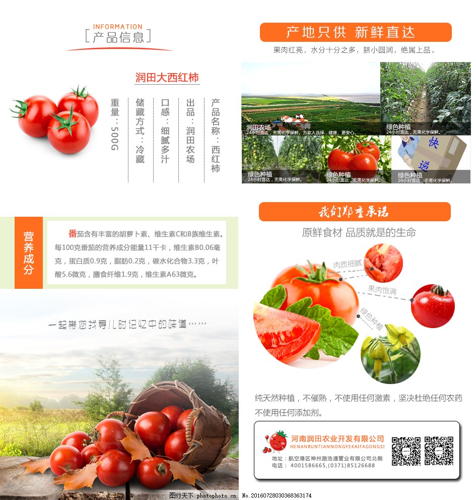 安徽西紅柿產(chǎn)地探秘，自然美景與鮮美西紅柿的邂逅之旅