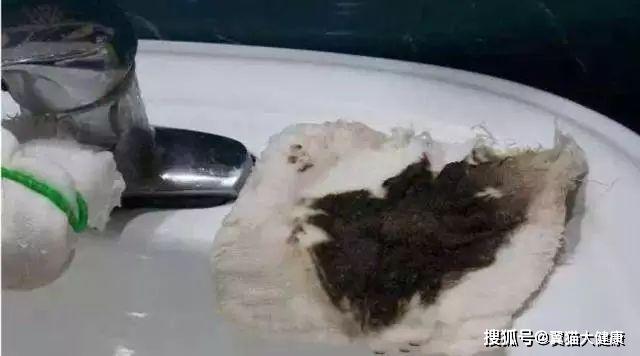 揭秘水污染真相，小杰的河流探索之旅——溫馨河流的秘密揭秘視頻
