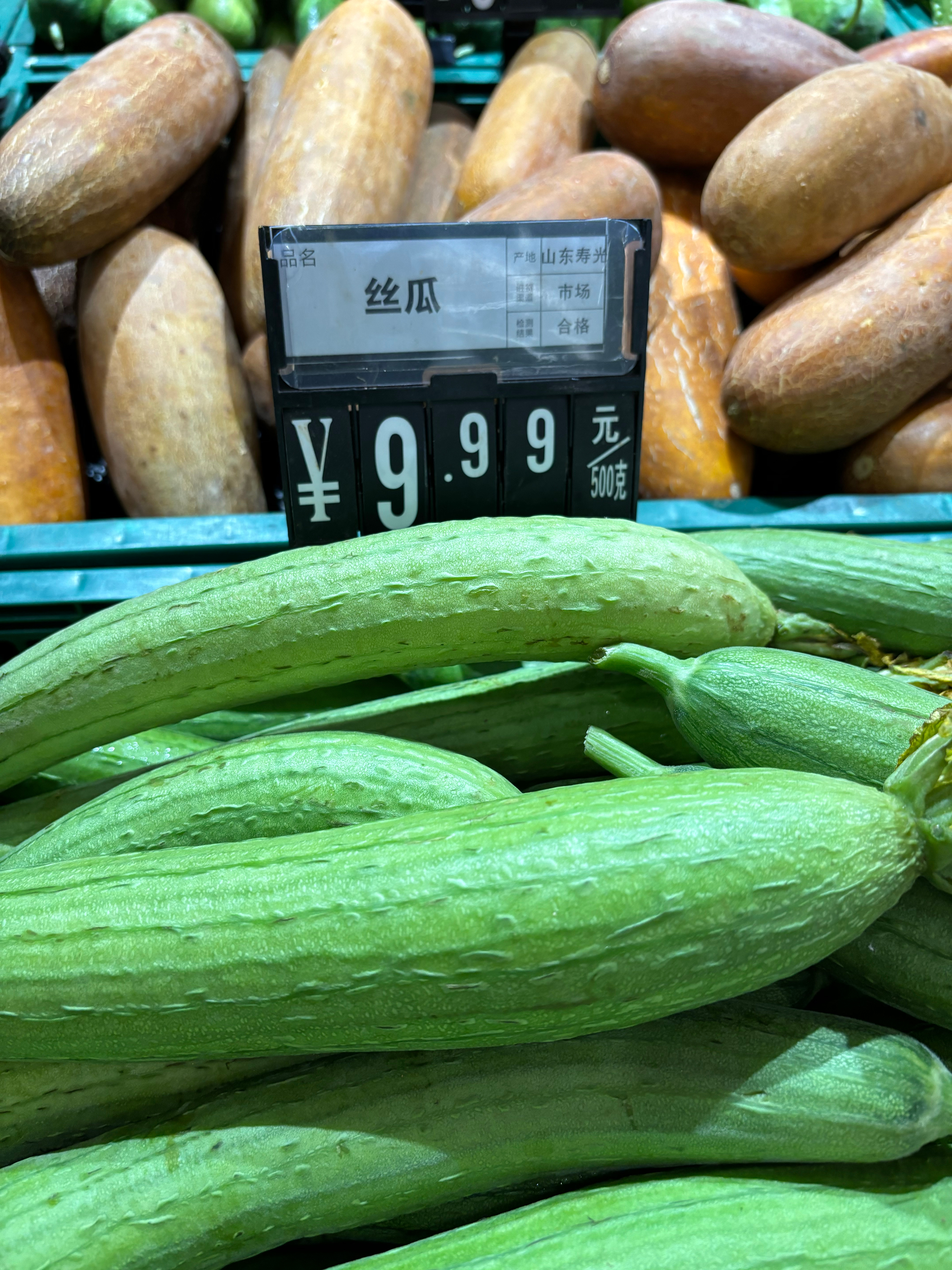 絲瓜價格最新行情??大揭秘！火爆價格走勢一網(wǎng)打盡??