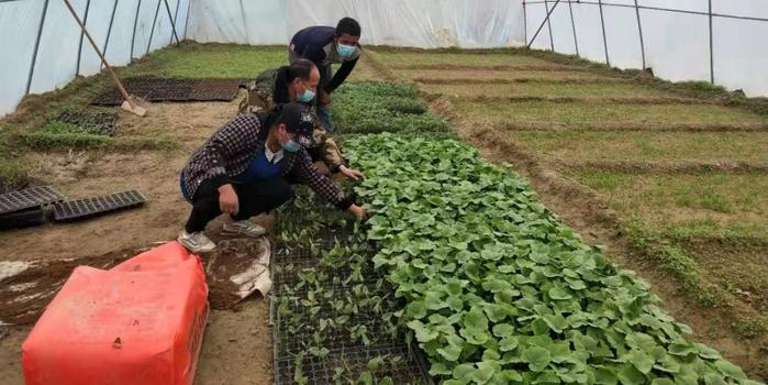 策勒最新招聘啟航人才新篇章，學(xué)習(xí)變化，擁抱自信與成就，啟程人生新征程！