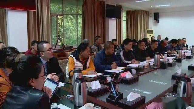 德昌最新新聞，擁抱自然，心靈寧靜之旅啟程