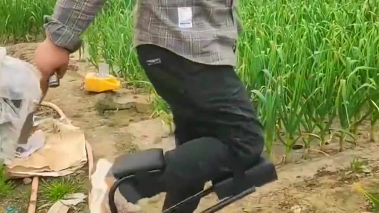 最新挖蒜工具，心靈與自然的完美交融